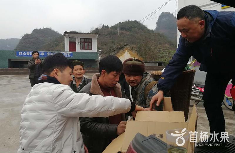 Shouyang hold poverty alleviation activities in Bijie 2019