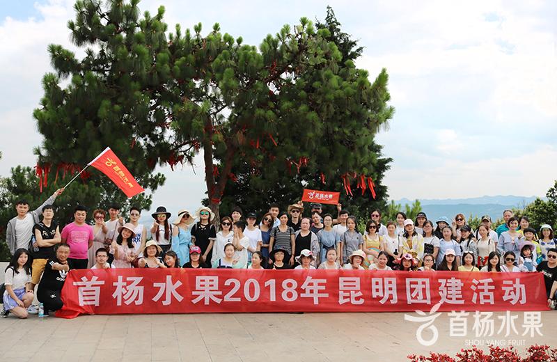 2018 Shouyang Fruit Kunming Group Activities
