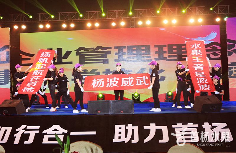 2016 Shouyang Annual Festival