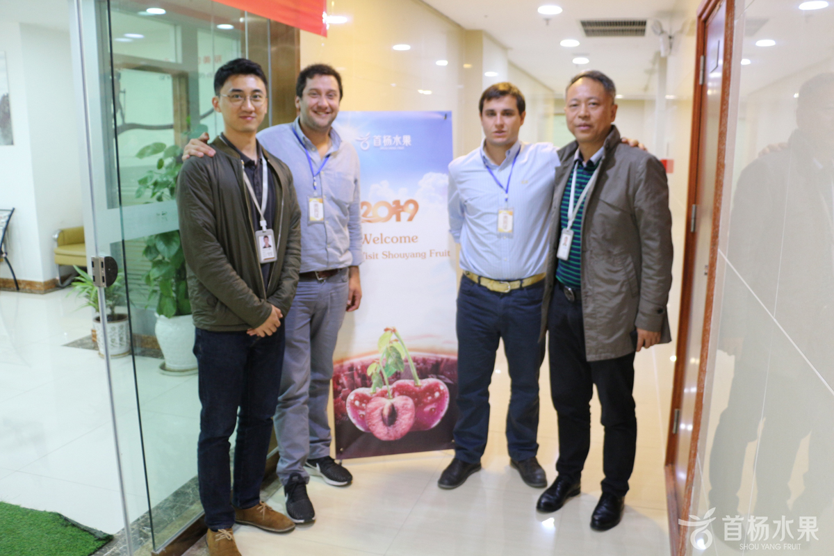 he cherries supplier of DDC company from Chile  visited in 2019